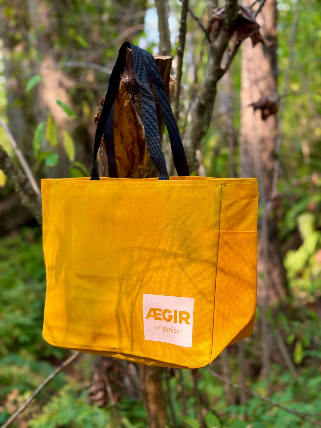 Tote